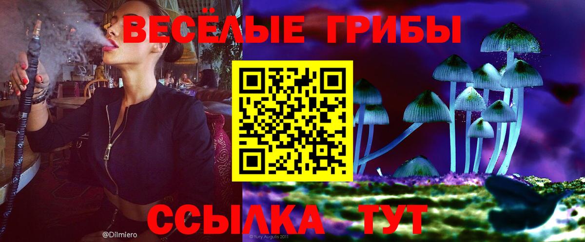 Псилоцибиновые грибы прущие грибы  сколько стоит  Благовещенск  Вход с VPN  Галлюциногенные грибы Cubensis 
